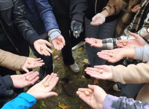 Akcja "Sadzimy krokusy"