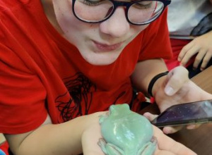 Wycieczka do Płocka klas 8