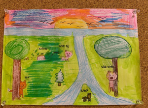 Międzynarodowy Dzień Lasów 2024