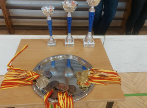 Zwycięstwo w zawodach