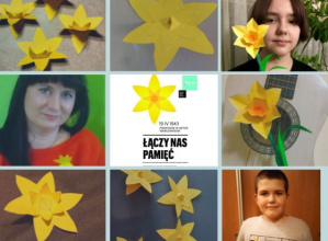 Podsumowanie Akcji Żonkile