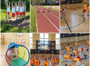 Projekt Pho3nix Active School.