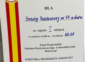 I miejsce w klasyfikacji zespołowej chłopców "Igrzyska Mlodzieży Szkolnej"