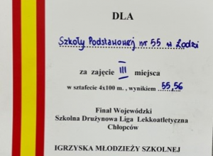 III miejsce chłopców Finał Wojewódzki "Igrzyska Młodzieży Szkolnej"